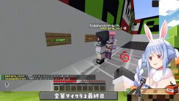 955891 B