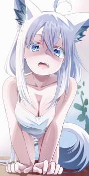 288275 B