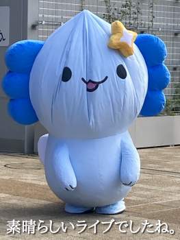 213696 B