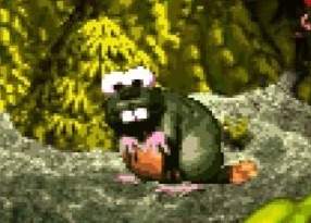 25136 B
