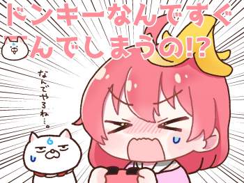304443 B