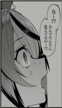 73244 B