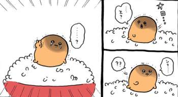 99559 B