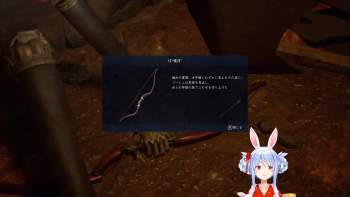 228797 B