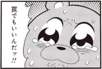 43340 B