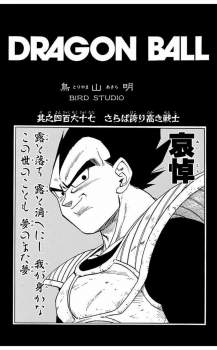 137256 B