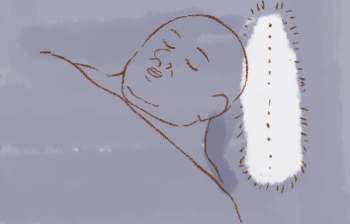 35955 B