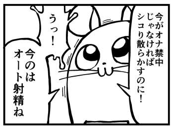 239116 B
