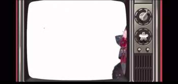 284433 B