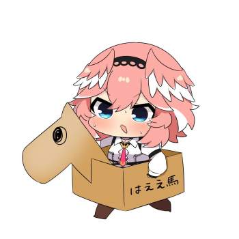 80481 B