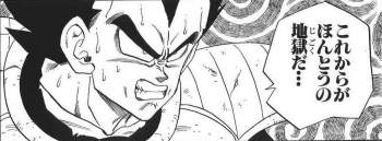 79694 B