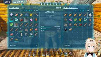 702527 B
