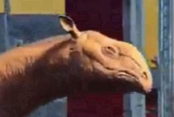 275356 B