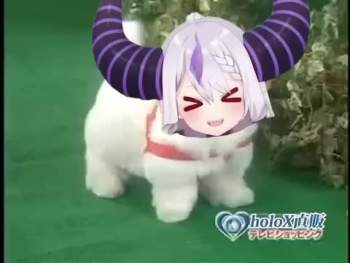 4266418 B