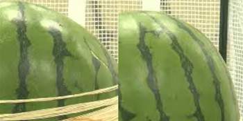 902287 B