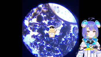 2502910 B