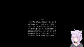 132713 B