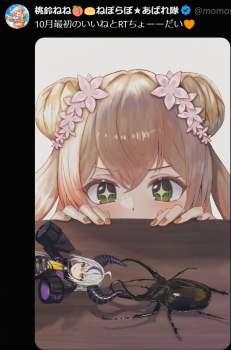 871196 B