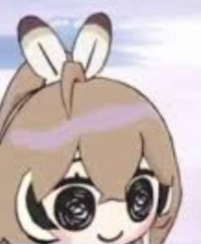 115676 B