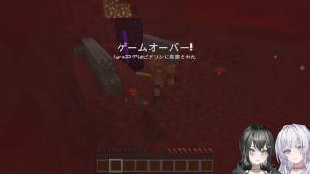 1073534 B