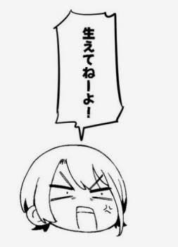 24896 B