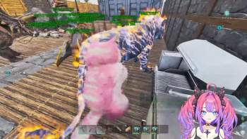 206913 B