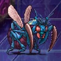 25566 B