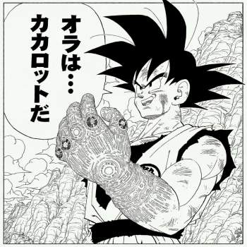 244093 B