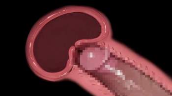 635576 B