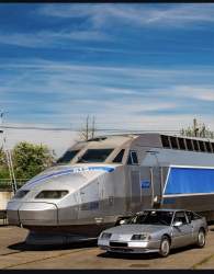 203065 B