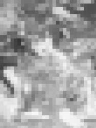 82753 B