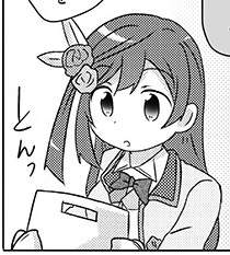 24333 B