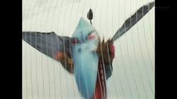 135826 B