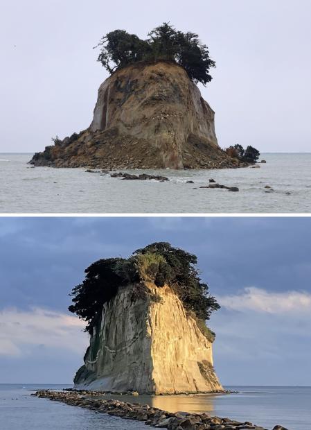 1位候補の画像